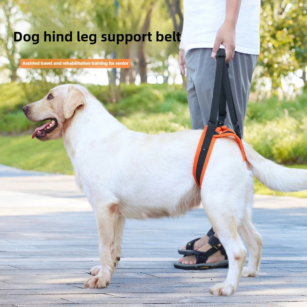 Adjustable Dog Lift Harness Sling for Dogs Hind Leg Support Soft Lift Rehab for Weak Rear Legs Helps Senior Injured Disabled Dog