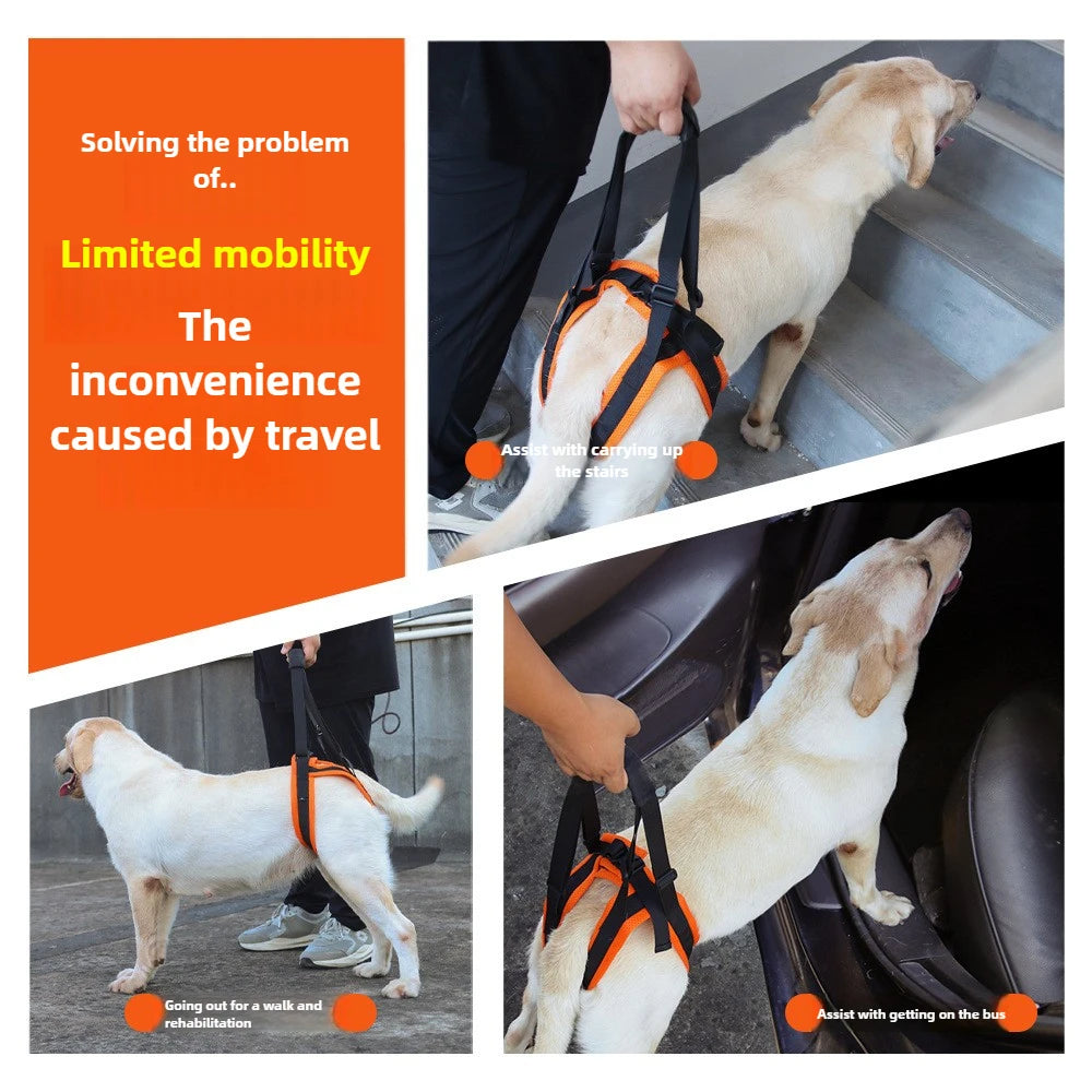 Adjustable Dog Lift Harness Sling for Dogs Hind Leg Support Soft Lift Rehab for Weak Rear Legs Helps Senior Injured Disabled Dog